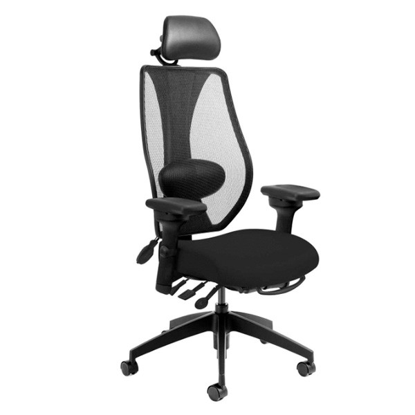 Ergocentric Tcenric Hybrid Chair, White Ergonomic Office Chair Canada